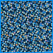 Dash - Blue