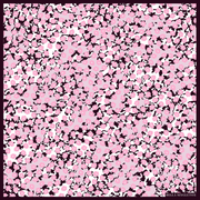 Daisy - Pink